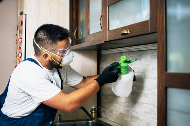 Best Best Pest Control Companies  in Rossford, OH