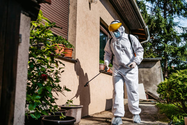 Best Mosquito Control Services  in Rossford, OH