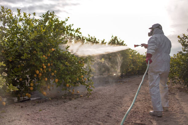 Best Mosquito Control Services  in Rossford, OH