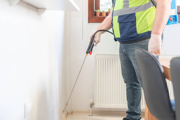 Best Termite Control Services  in Rossford, OH