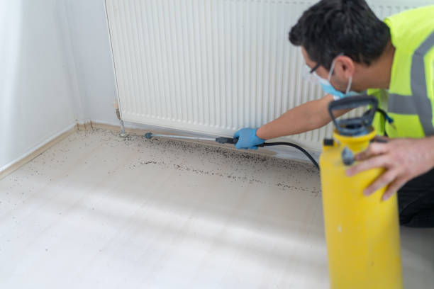 Best Pest Control for Restaurants  in Rossford, OH